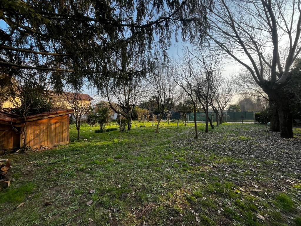 immagine annuncio 2 di 4