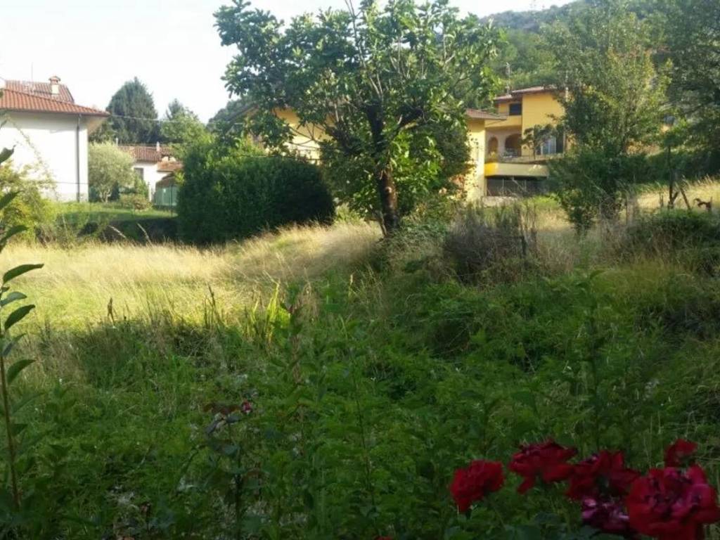 immagine annuncio 1 di 2