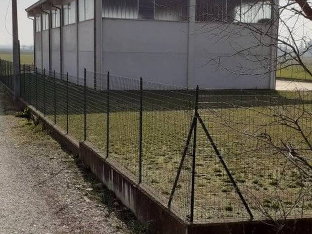 immagine annuncio 1 di 2