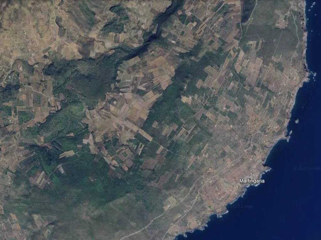 immagine annuncio 2 di 4