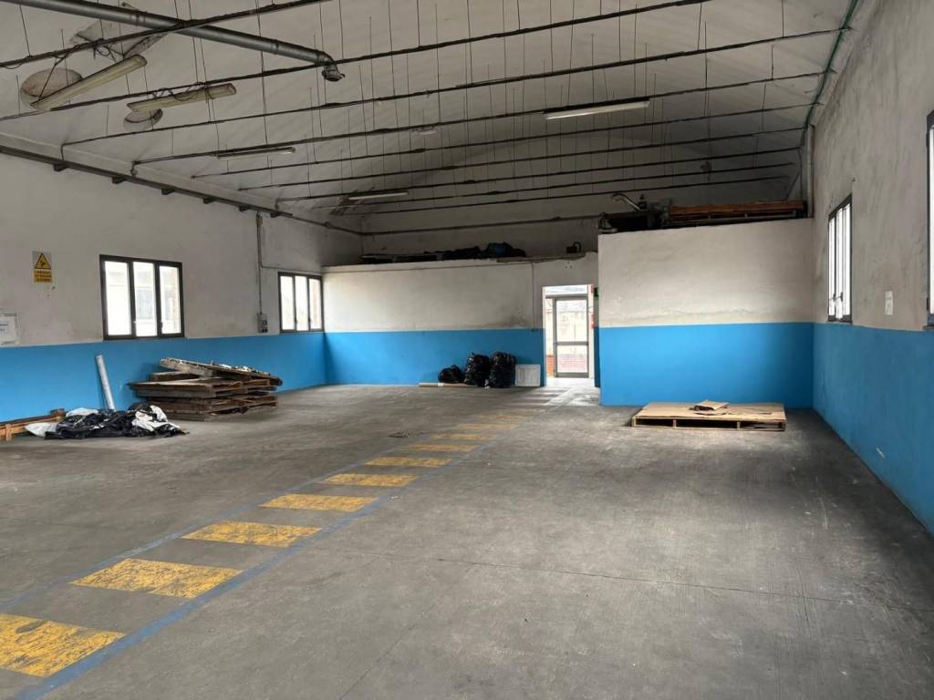 immagine annuncio 3 di 5