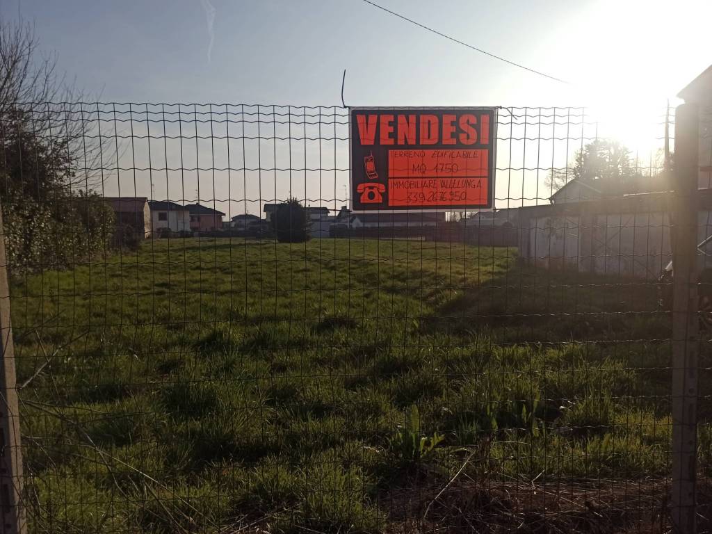 immagine annuncio 1 di 2