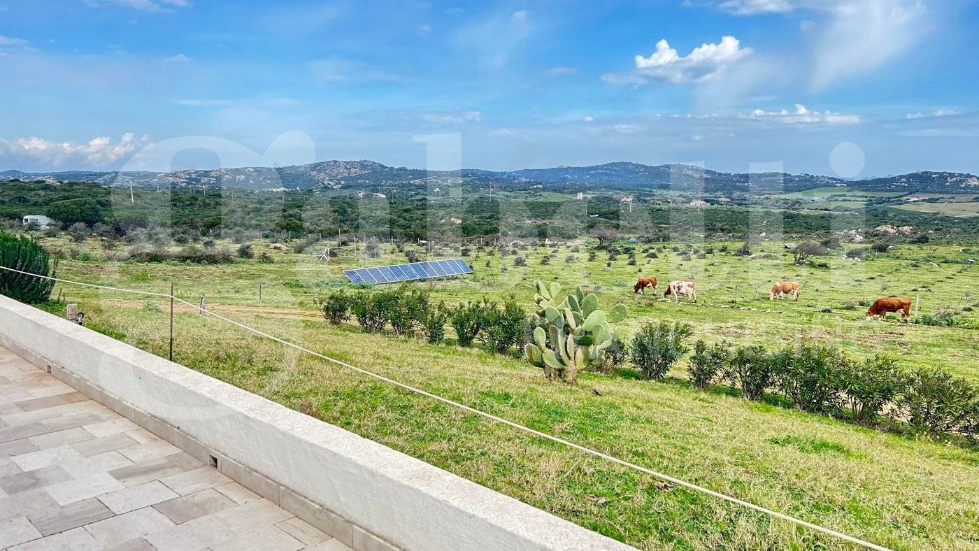 Rustico AZIENDA AGRICOLA CON VISTA MARE - Currighena Alta, snc, Santa Teresa Gallura - Photo 9