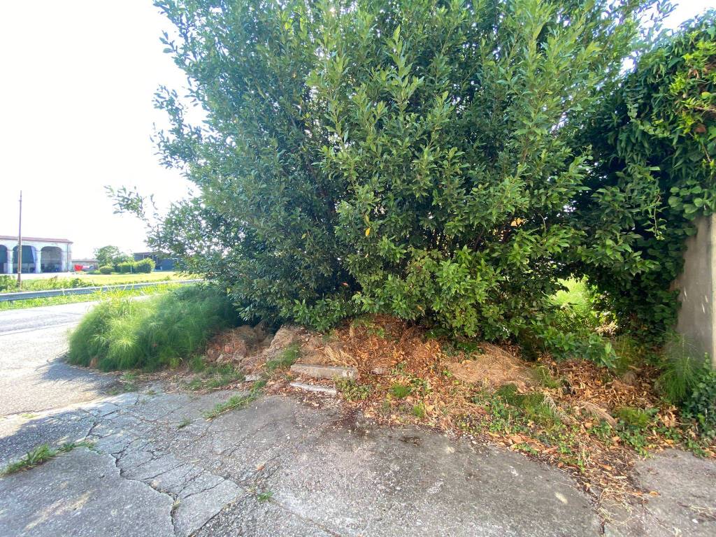 immagine annuncio 3 di 4