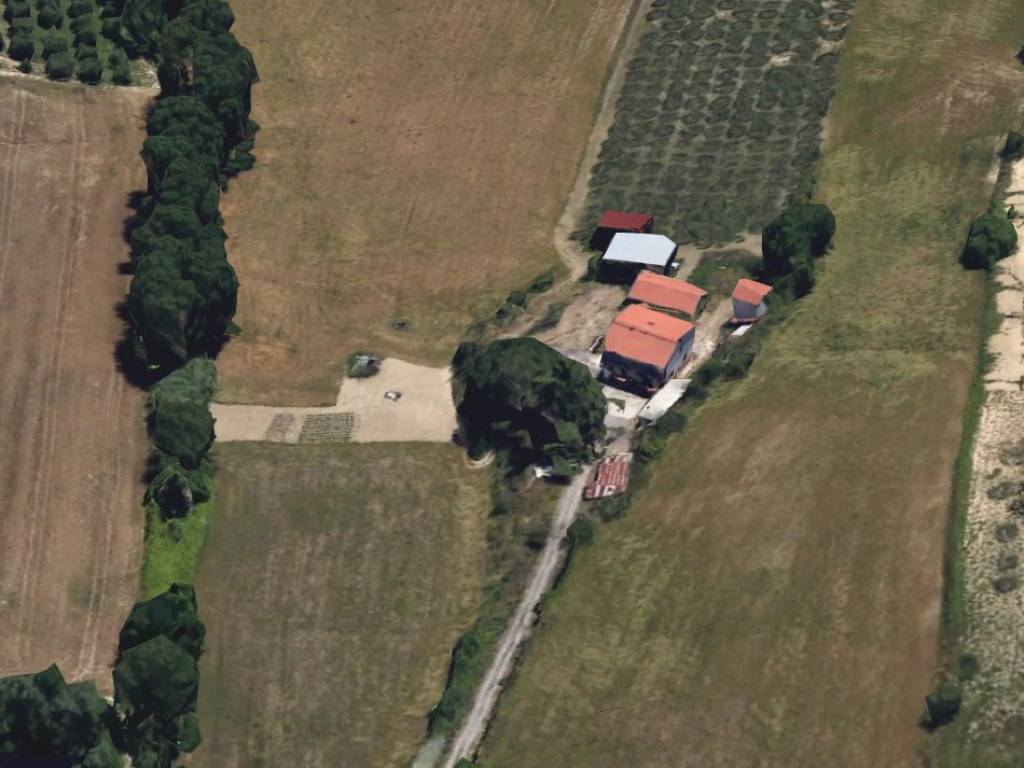 immagine annuncio 1 di 2