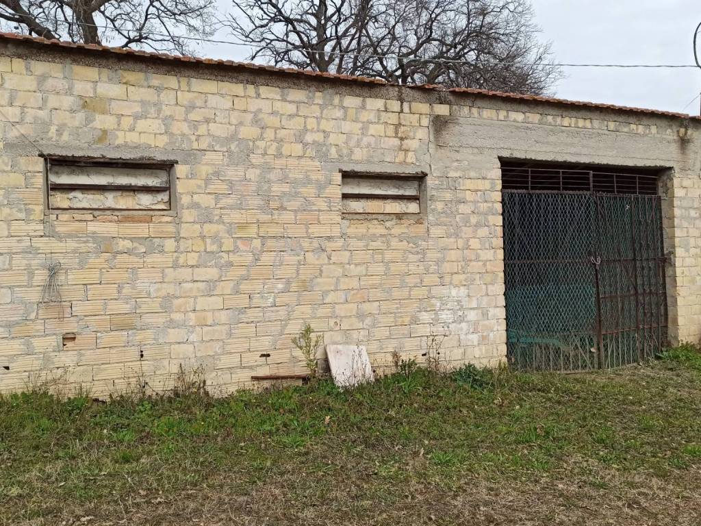 immagine annuncio 1 di 4