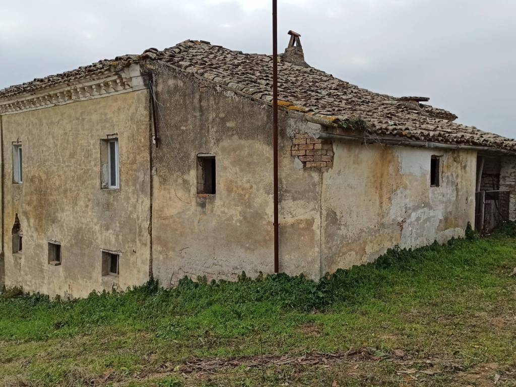 immagine annuncio 2 di 4