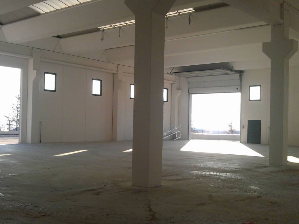 immagine annuncio 2 di 3