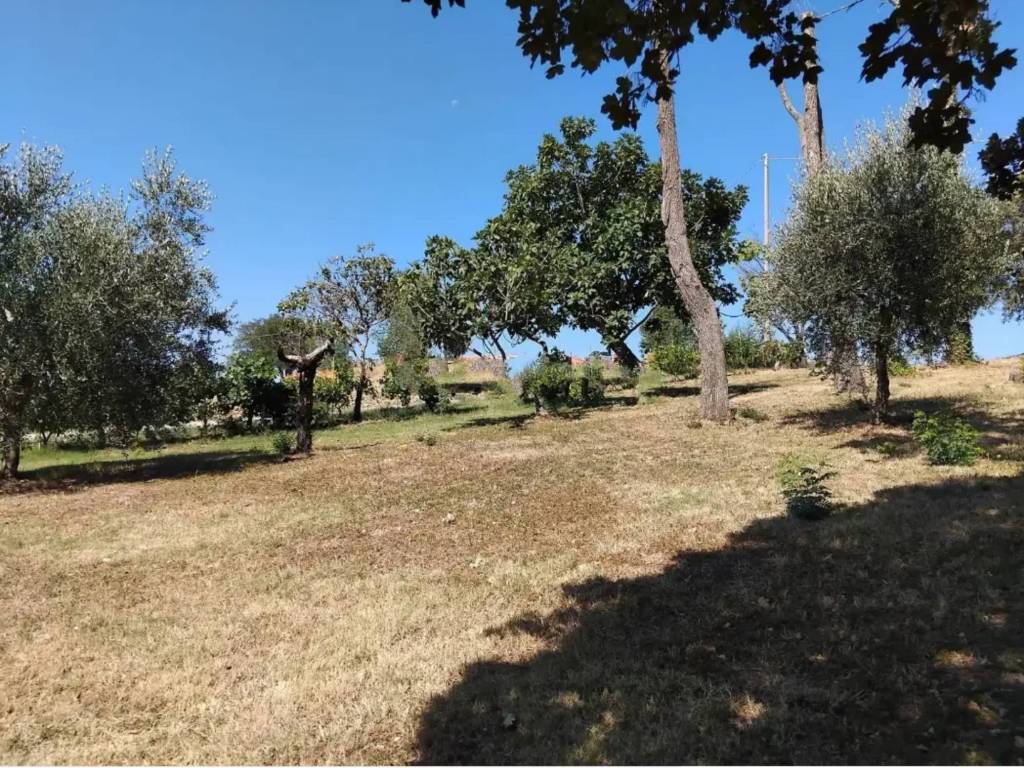immagine annuncio 1 di 4