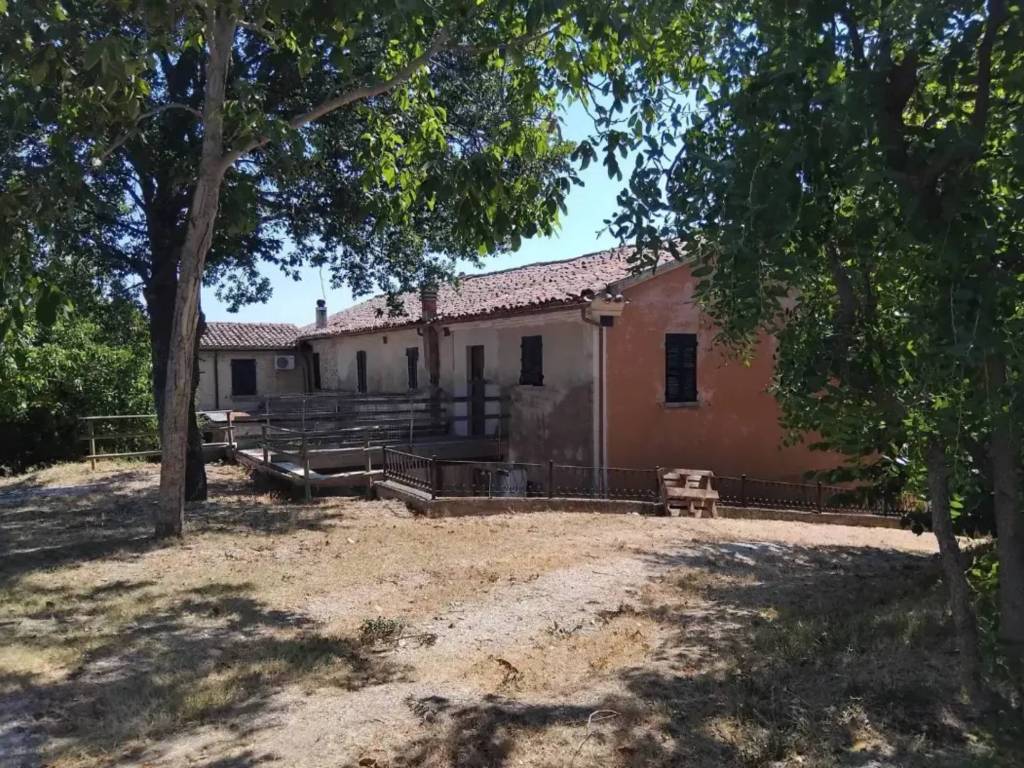 immagine annuncio 3 di 4