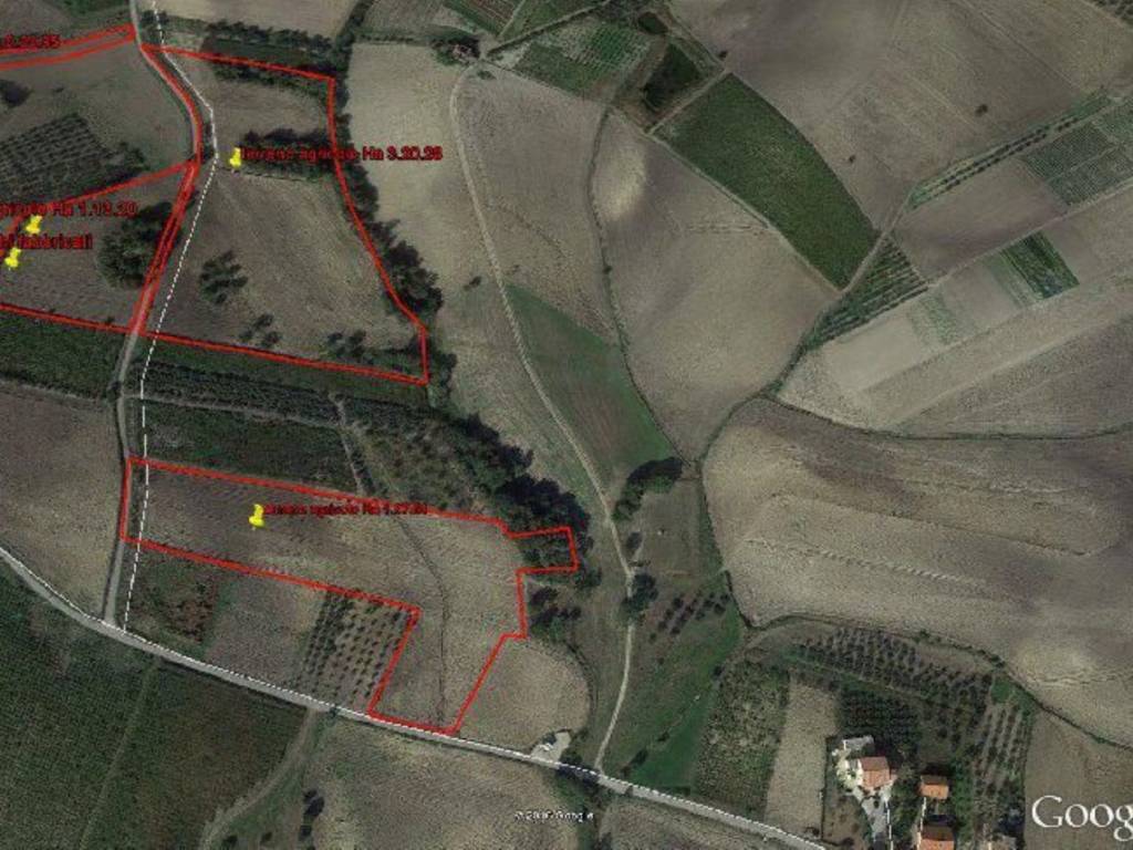 immagine annuncio 1 di 2