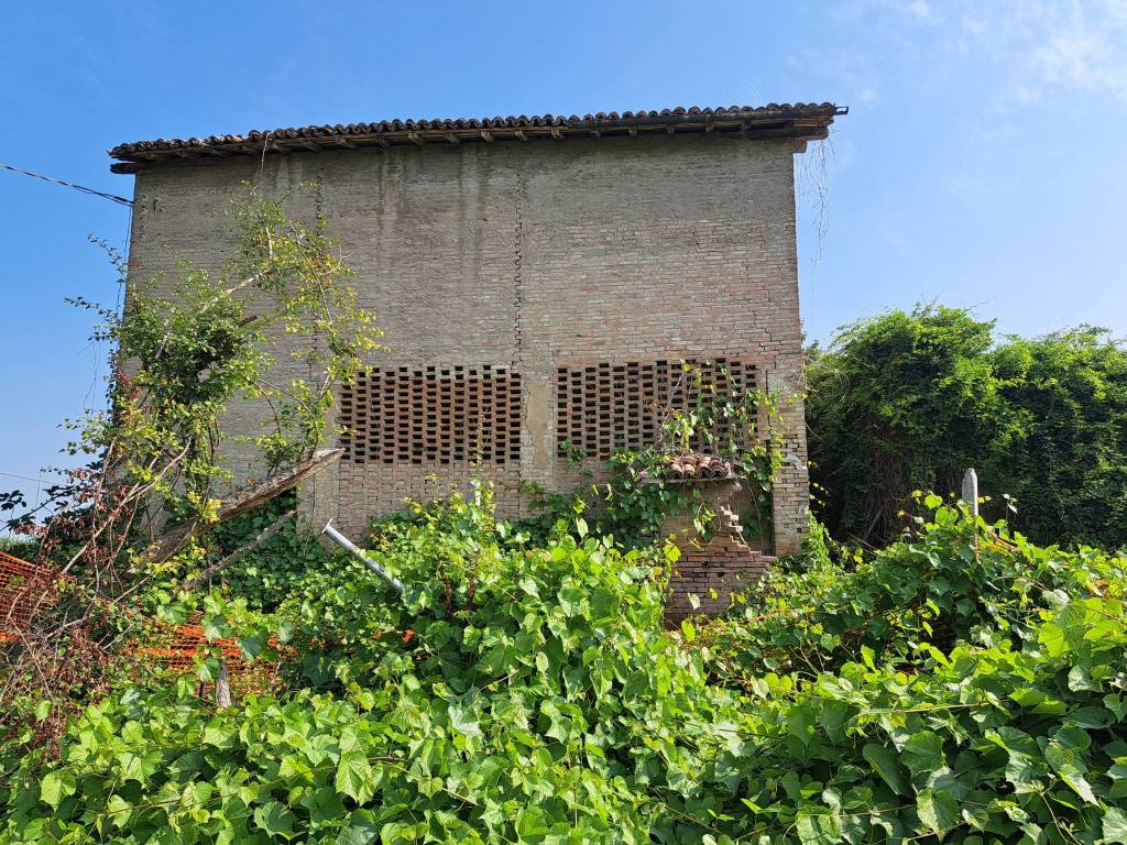 immagine annuncio 2 di 3