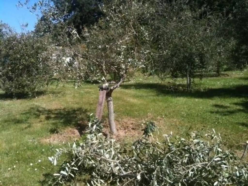 immagine annuncio 1 di 3