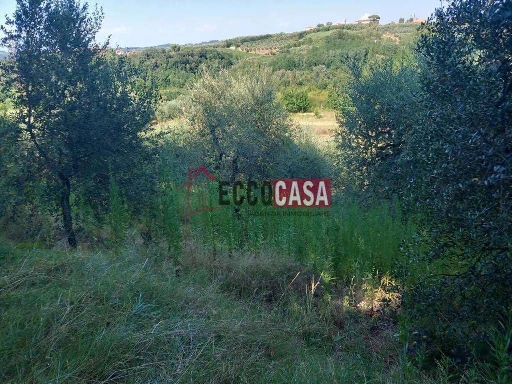 immagine annuncio 3 di 4