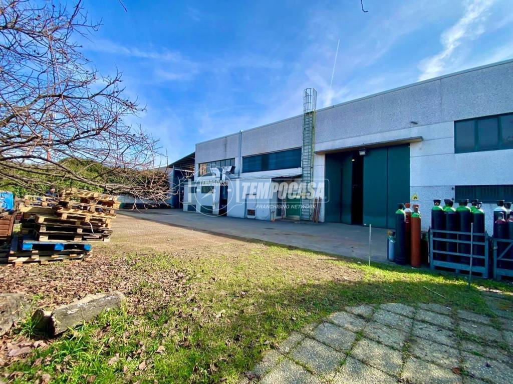 immagine annuncio 1 di 5