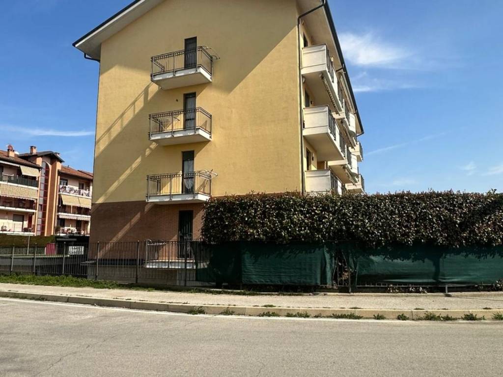 immagine annuncio 2 di 5