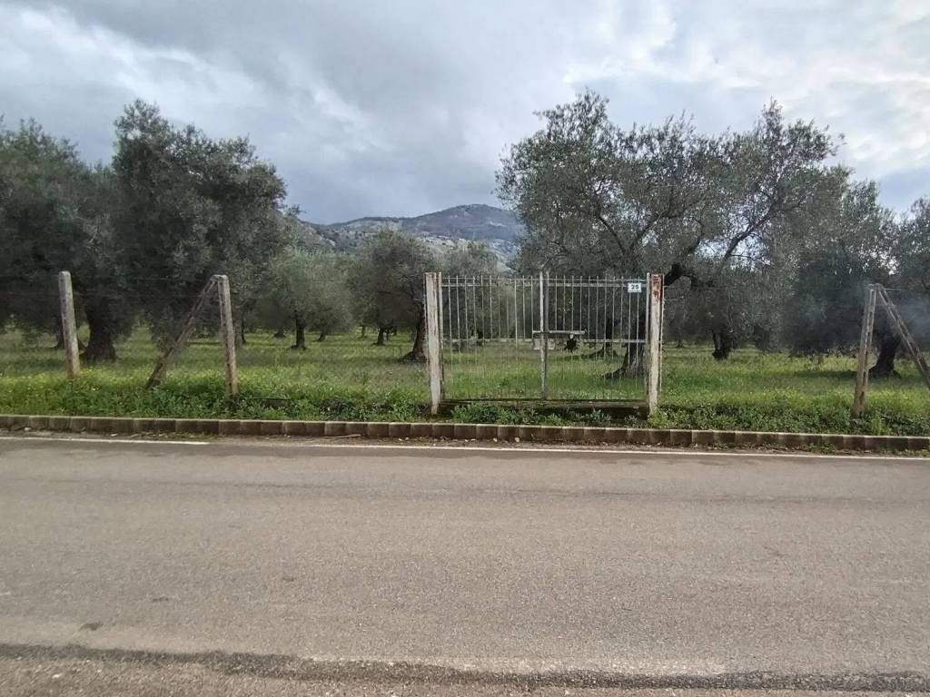 immagine annuncio 2 di 3