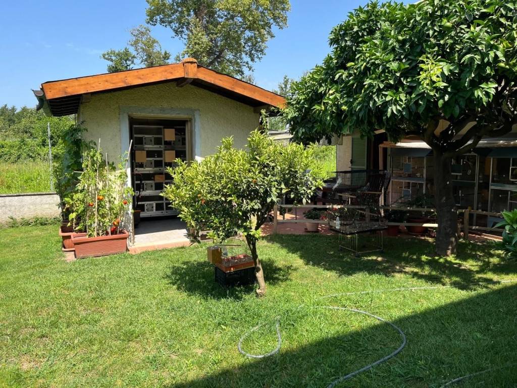 immagine annuncio 1 di 5