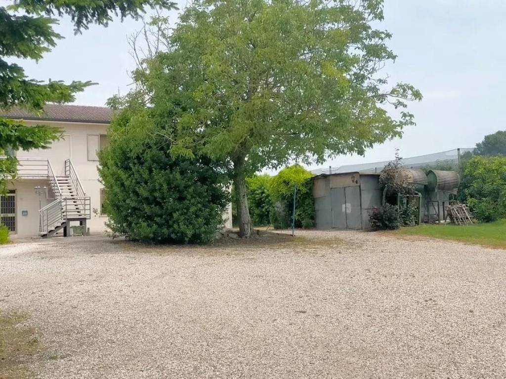 immagine annuncio 2 di 4