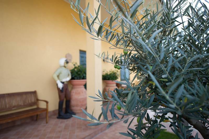 immagine annuncio 2 di 5