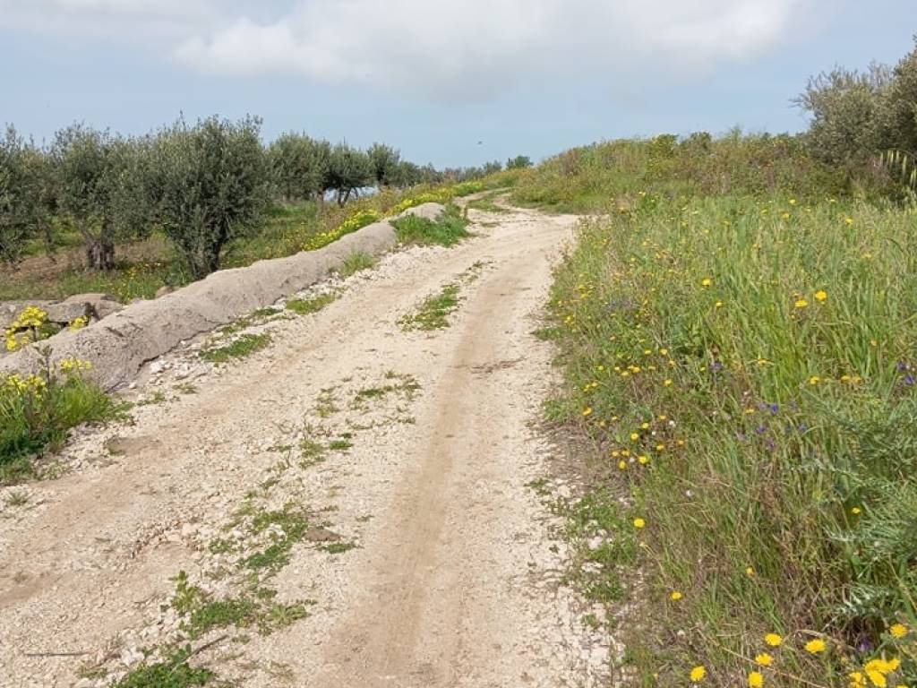 immagine annuncio 1 di 4