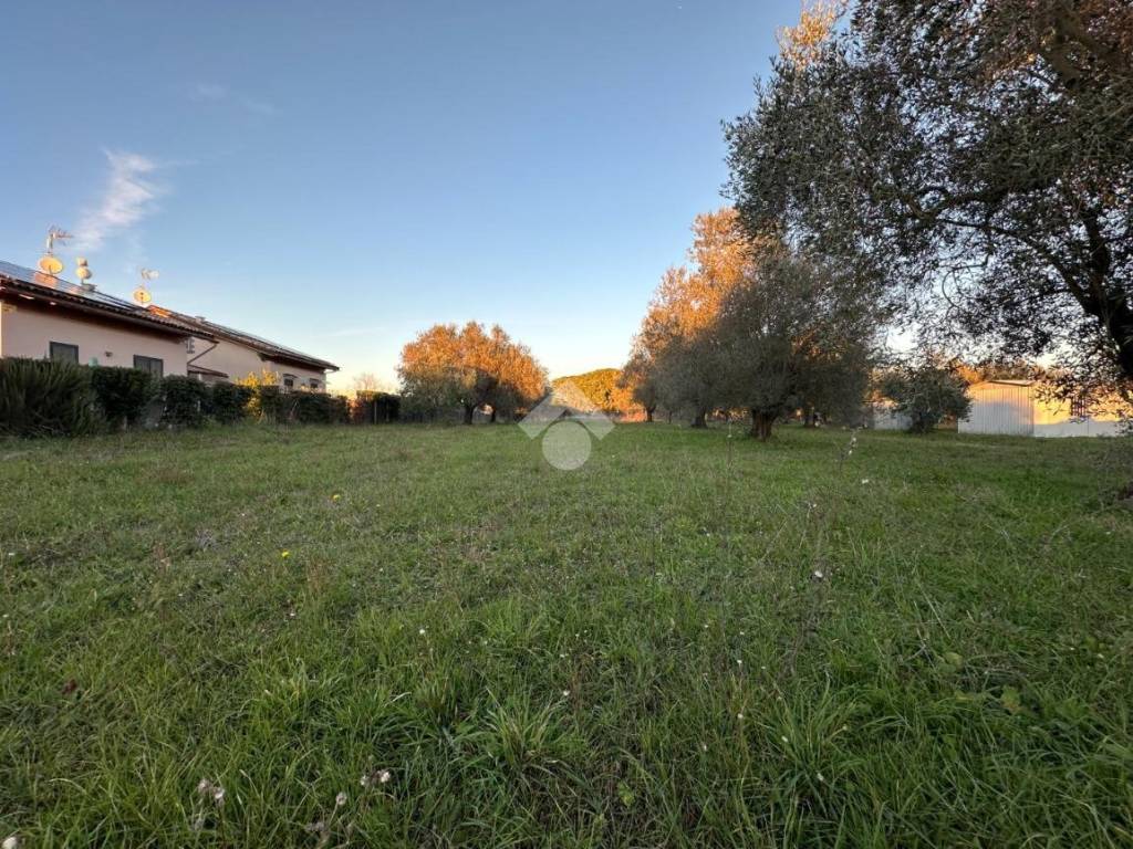 immagine annuncio 1 di 4