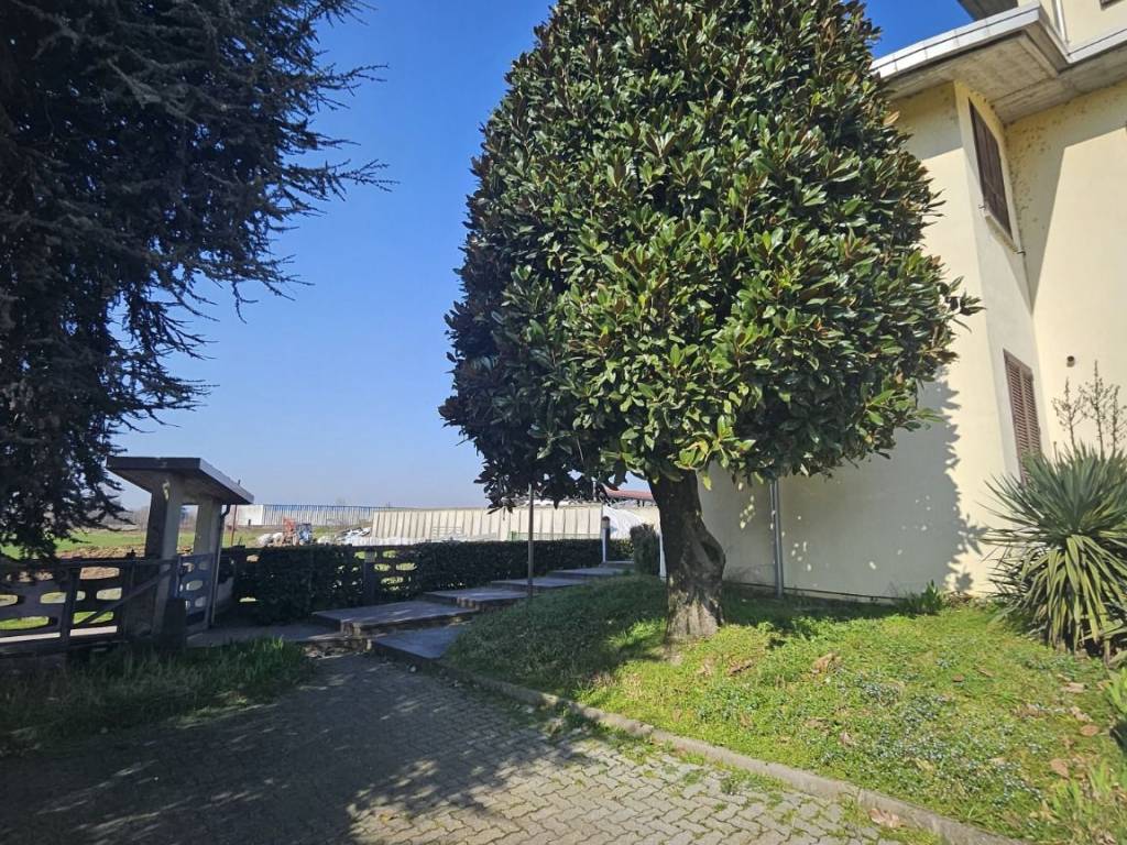 immagine annuncio 4 di 5