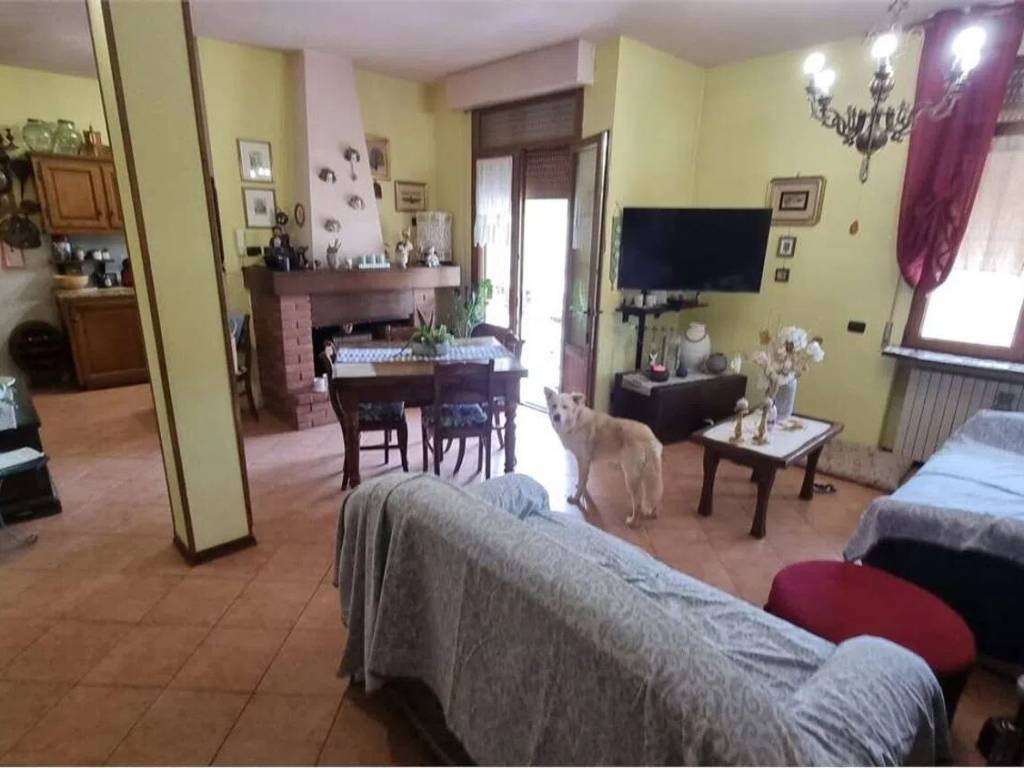 immagine annuncio 3 di 5