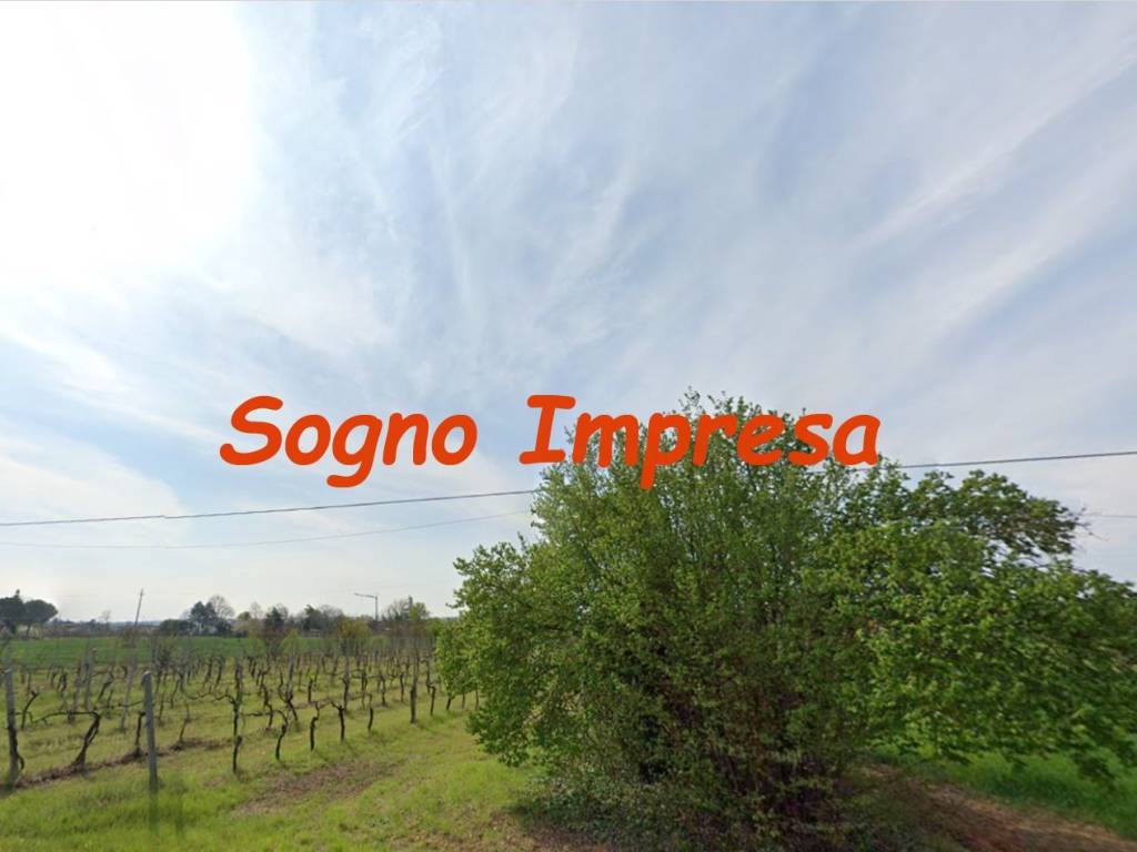 immagine annuncio 1 di 3