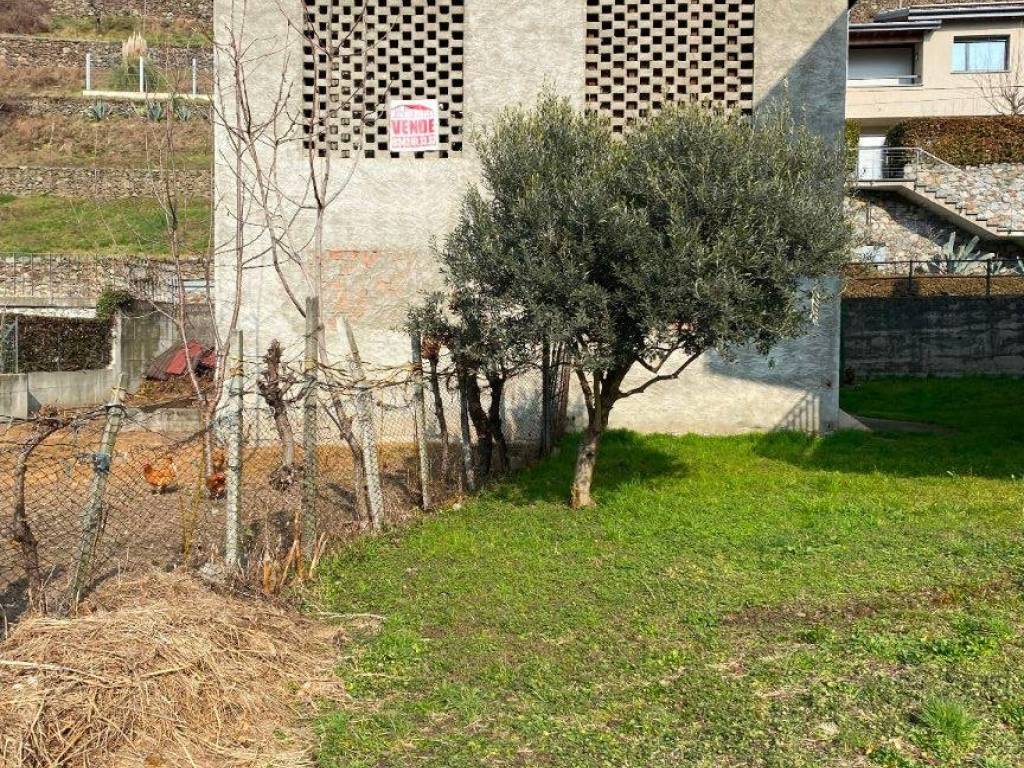 immagine annuncio 1 di 2