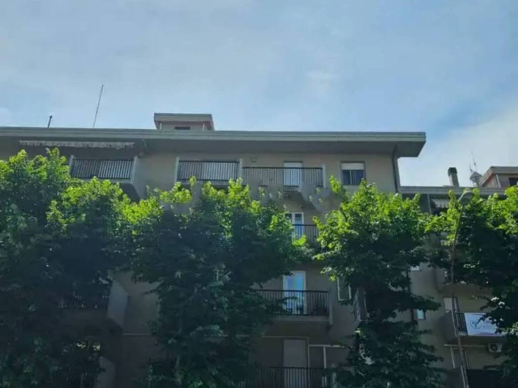 immagine annuncio 1 di 3