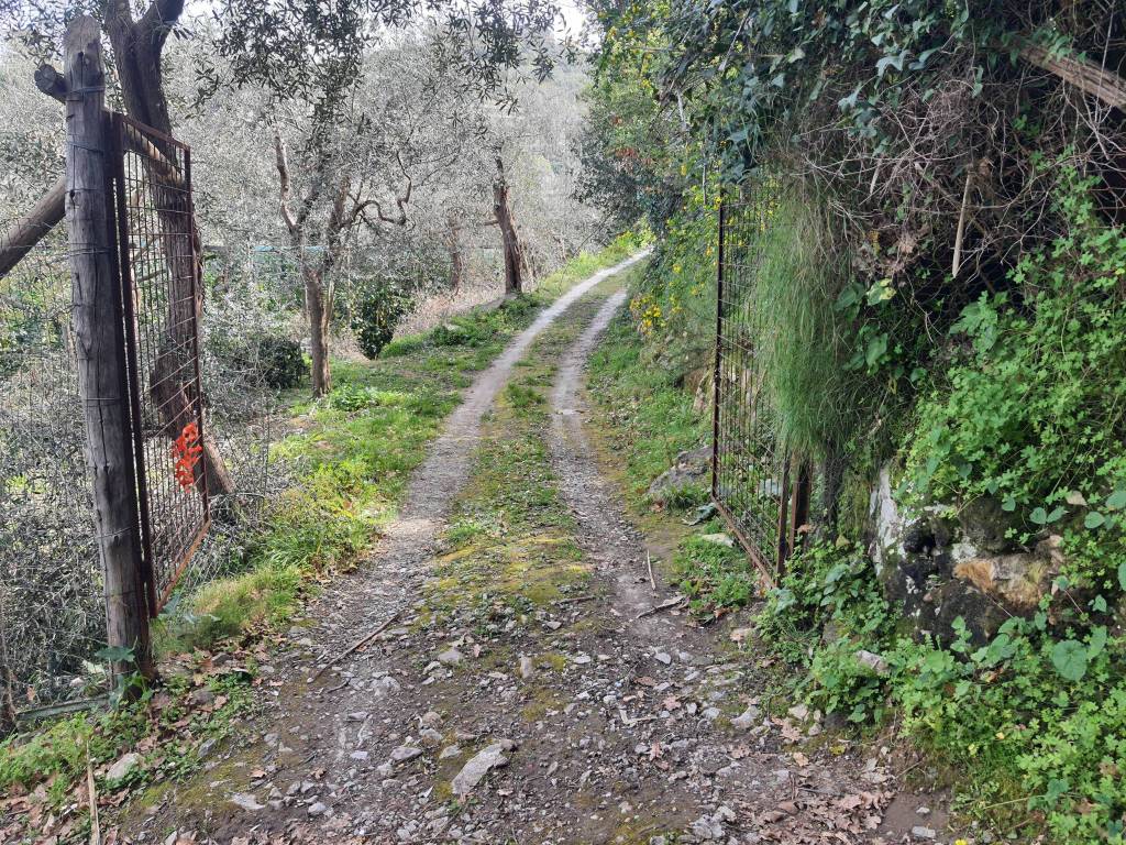 immagine annuncio 3 di 4