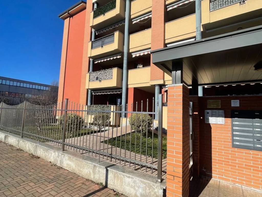 immagine annuncio 2 di 5