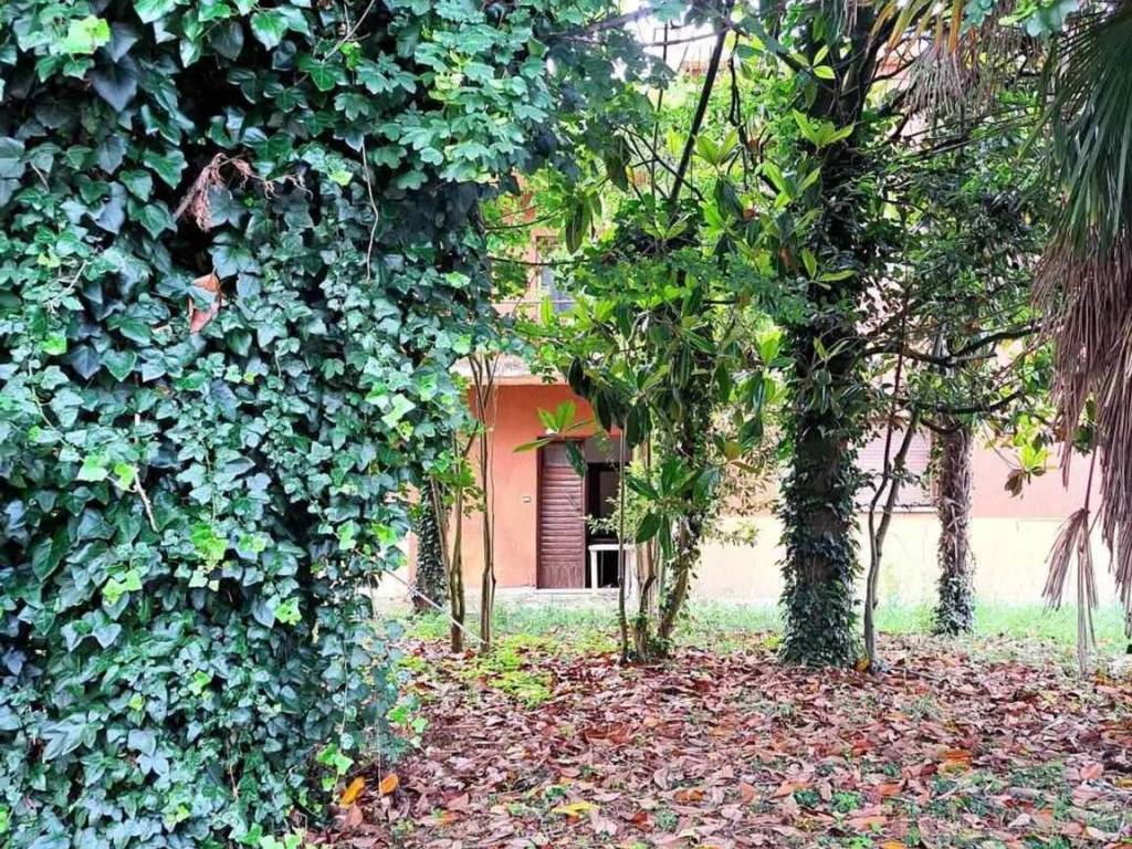 immagine annuncio 1 di 3