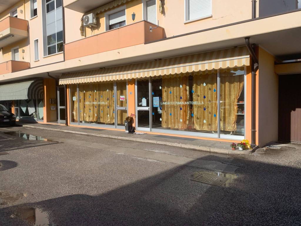 immagine annuncio 1 di 2