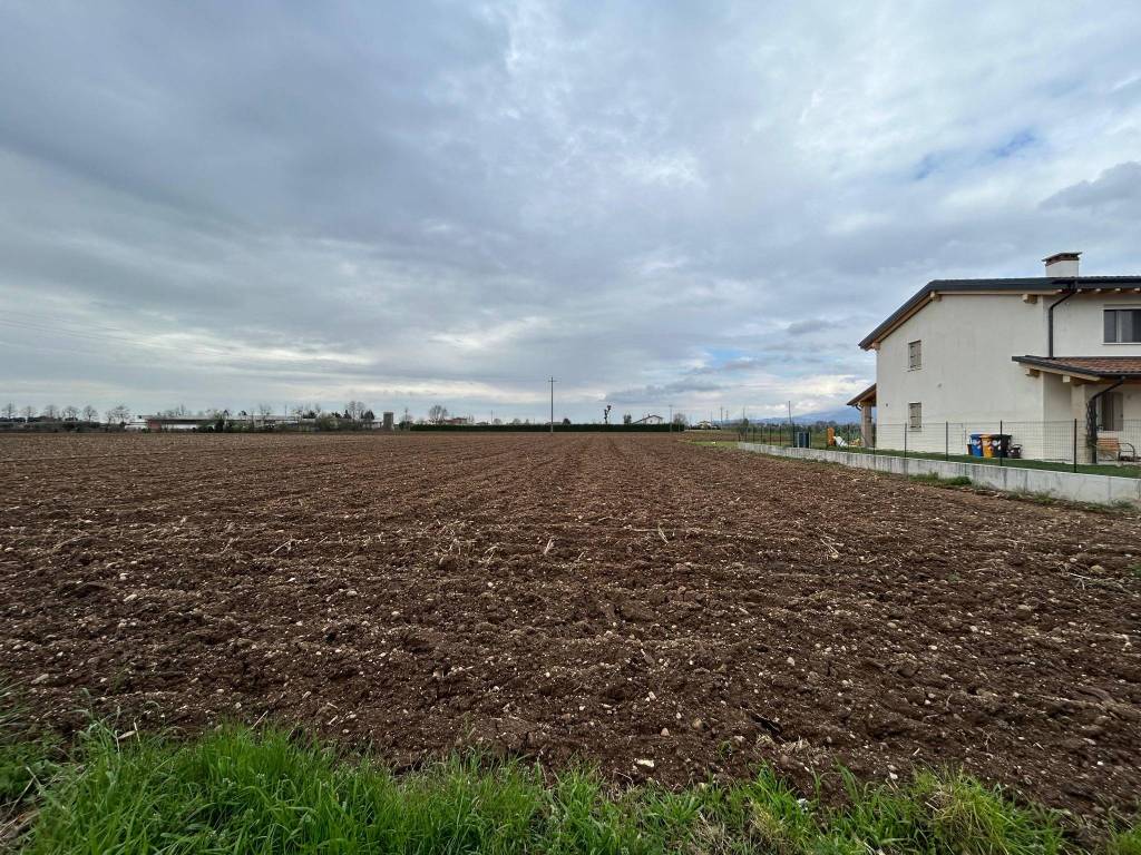 immagine annuncio 1 di 4