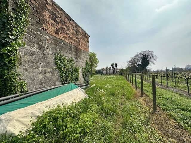 immagine annuncio 1 di 3