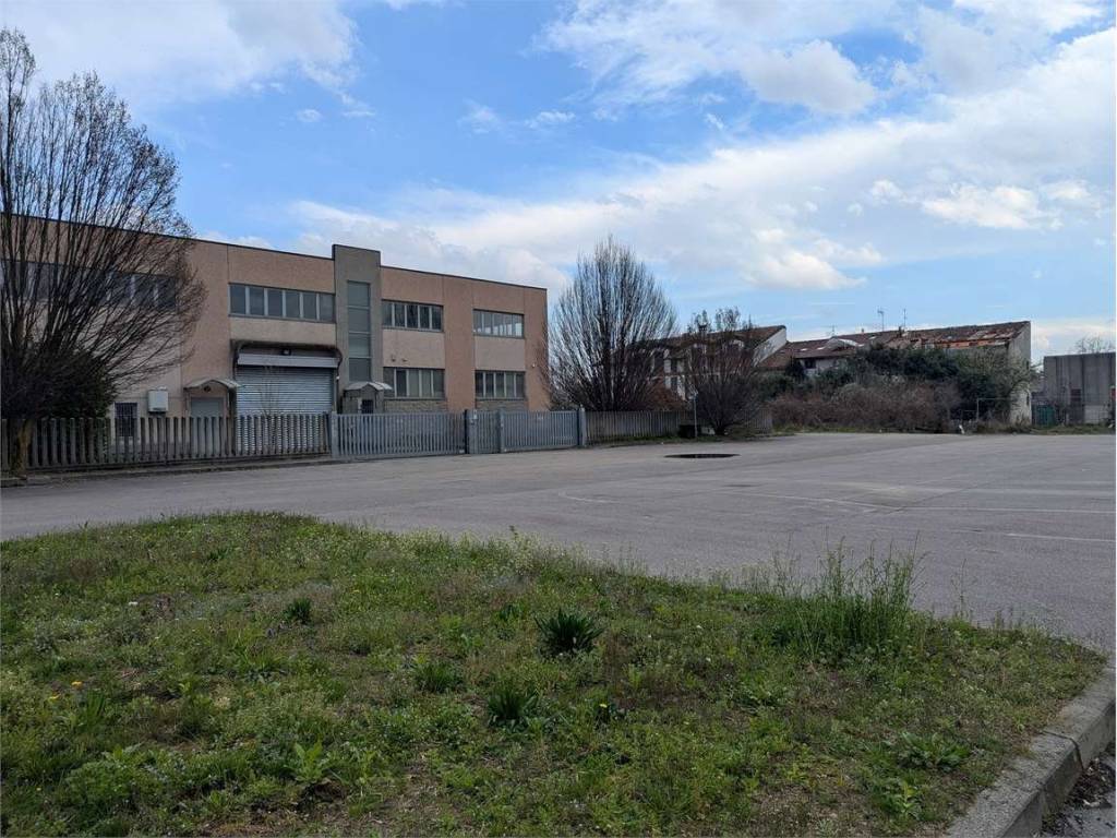 immagine annuncio 2 di 5