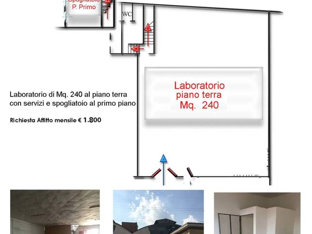 immagine annuncio 1 di 4