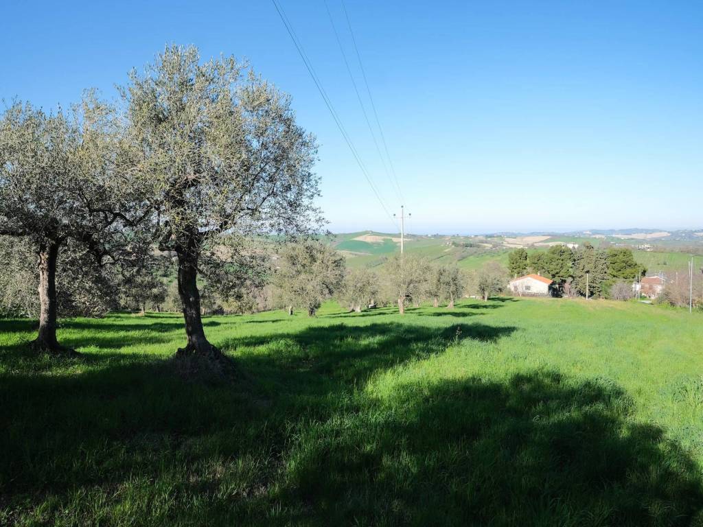 immagine annuncio 2 di 3