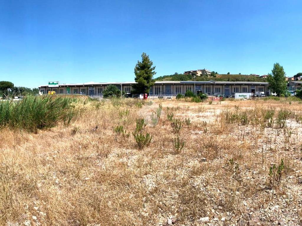 immagine annuncio 1 di 4