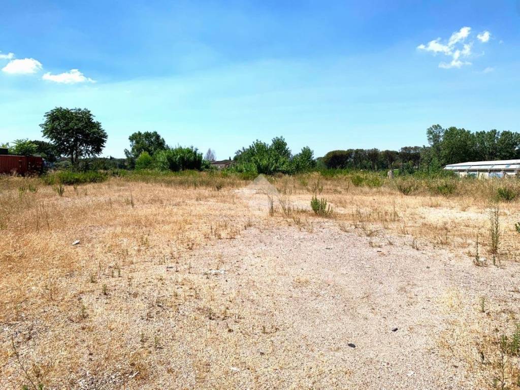 immagine annuncio 2 di 4