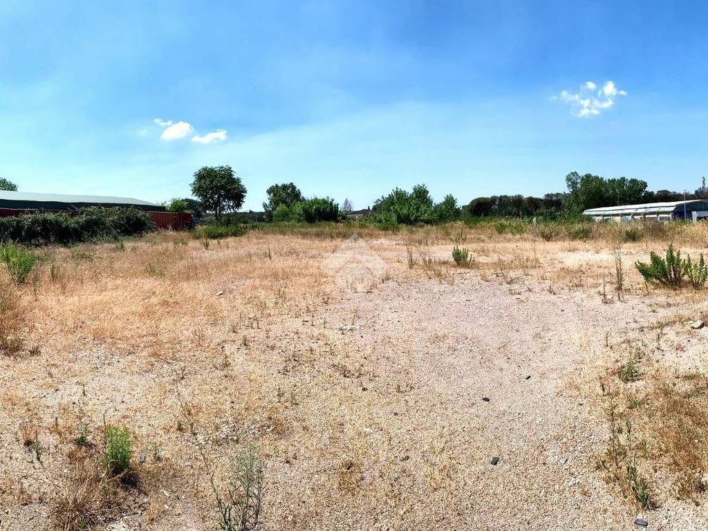 immagine annuncio 3 di 4