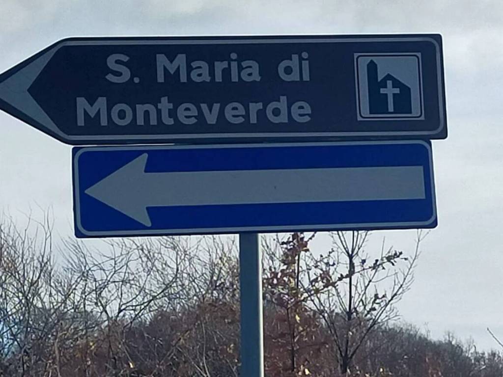 immagine annuncio 2 di 4