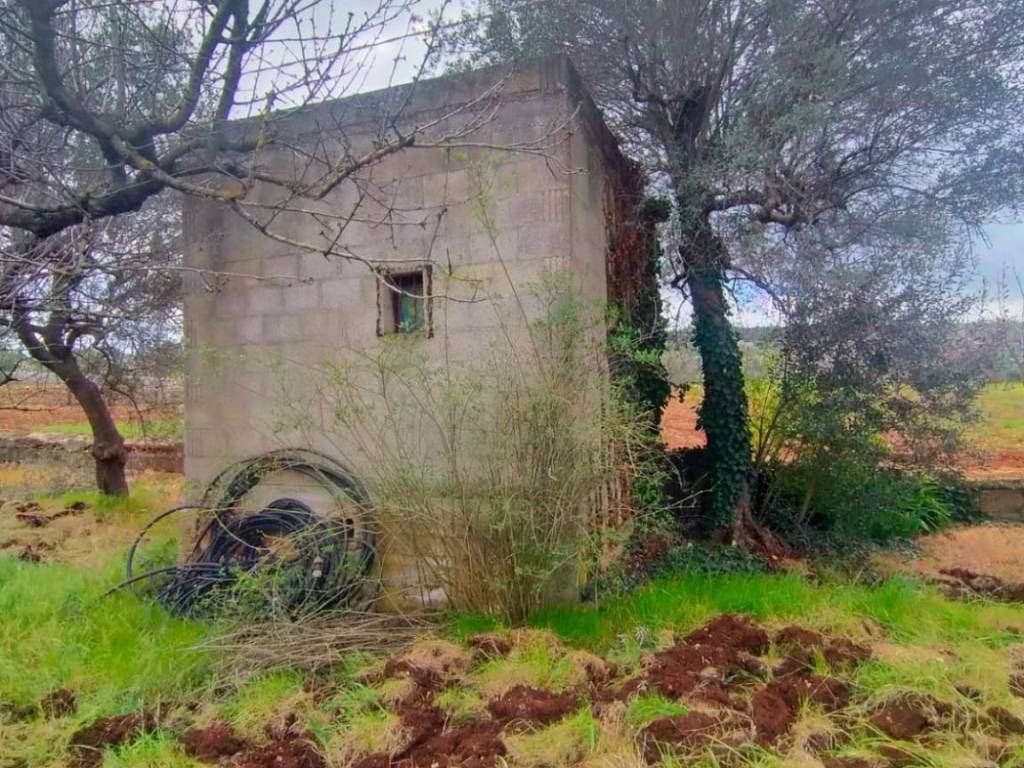 immagine annuncio 1 di 4