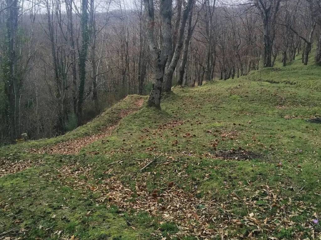 immagine annuncio 2 di 4