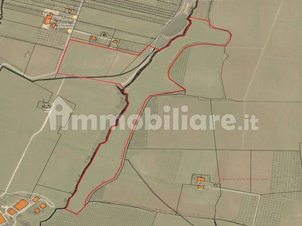 immagine annuncio 3 di 5