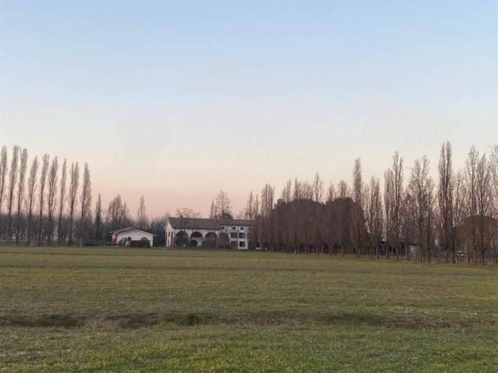 immagine annuncio 1 di 4