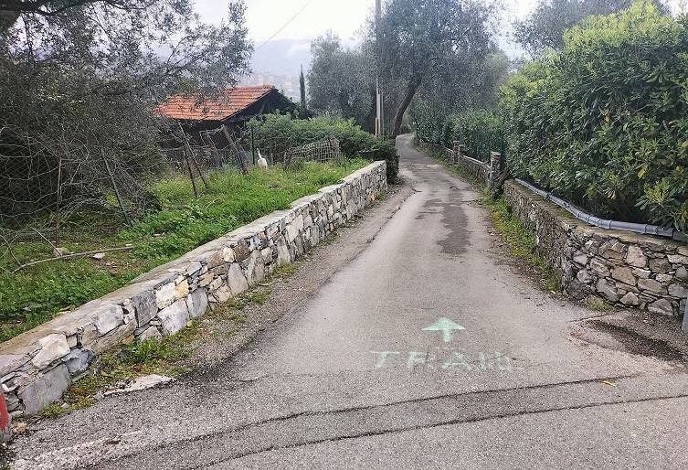 immagine annuncio 1 di 3