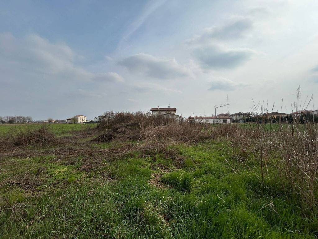 immagine annuncio 1 di 3